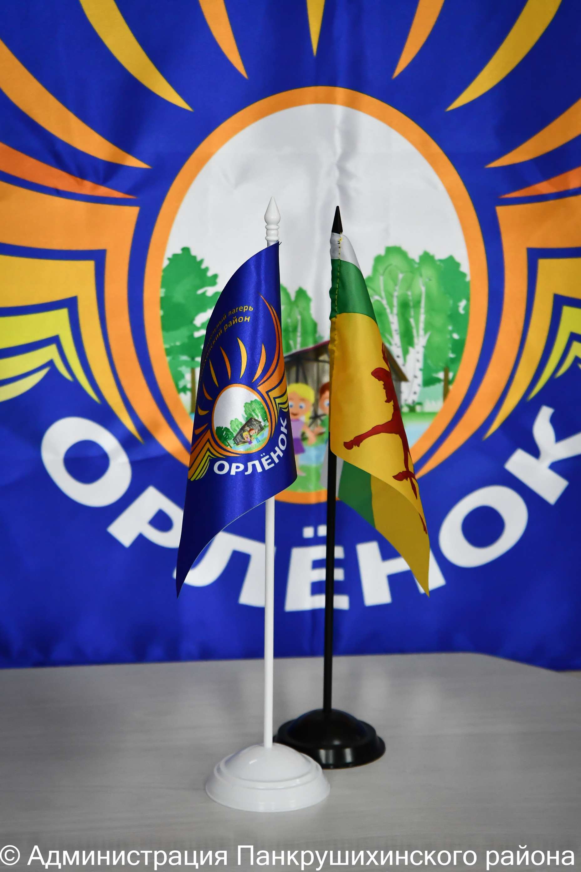Поддержите проект ДОЛ &quot;Орлёнок&quot;!.