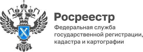 Краевому Роскадастру исполняется 24 года. Краевому Роскадастру исполняется 24 года.
